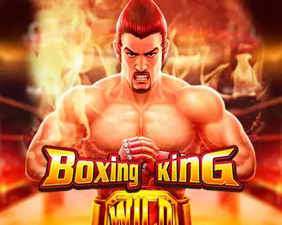 connection 1xbet