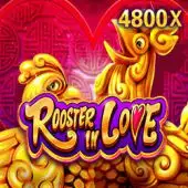 live casino house reviews google